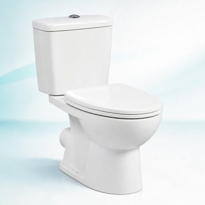 Bồn cầu 2 khối xả đứng 4.5L/6L tiêu chuẩn xanh